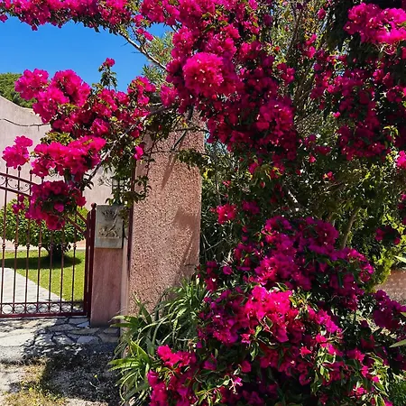 Kantrillies ヴィラ Fokata