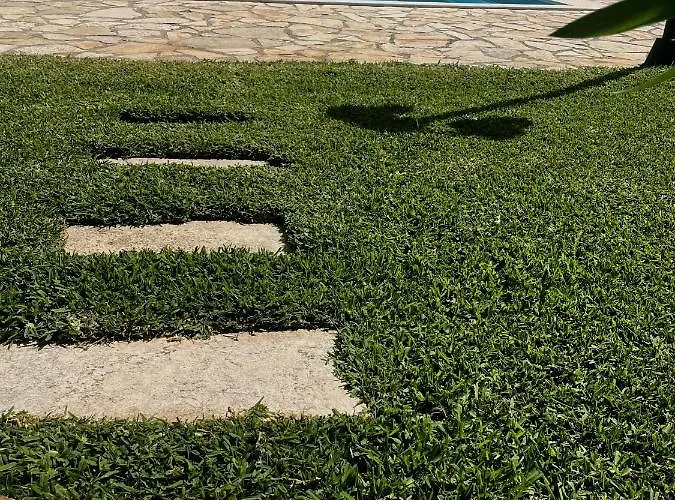 Kantrillies * Fokata